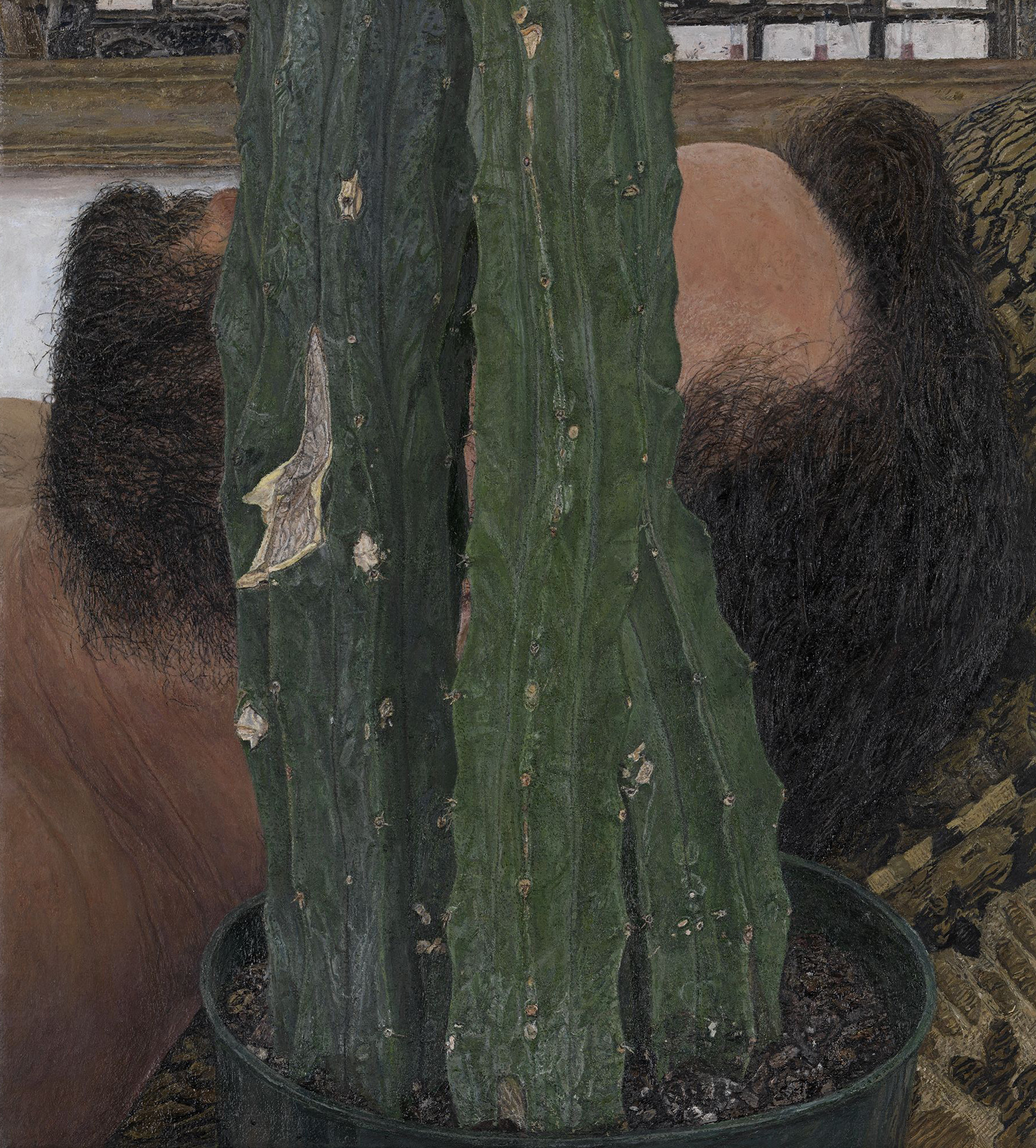 Ellen-Altfest-Head-and-Plant-