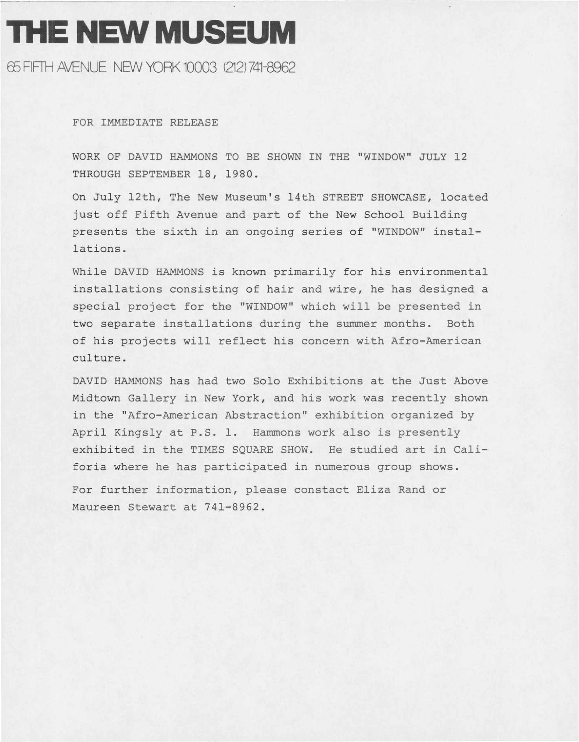 david-hammons-rented-earth