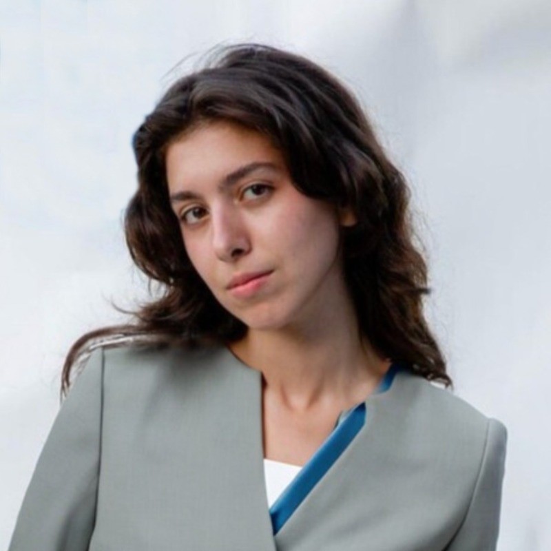 Tina Tarighian - New Museum